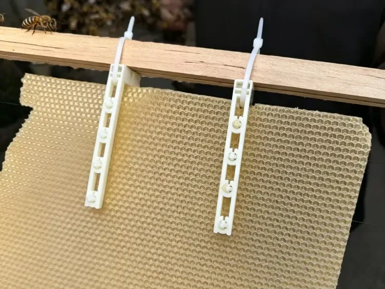 Accesorios para marcos de colmena