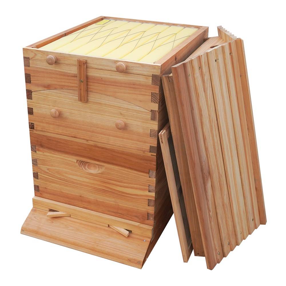 honey flow beehives