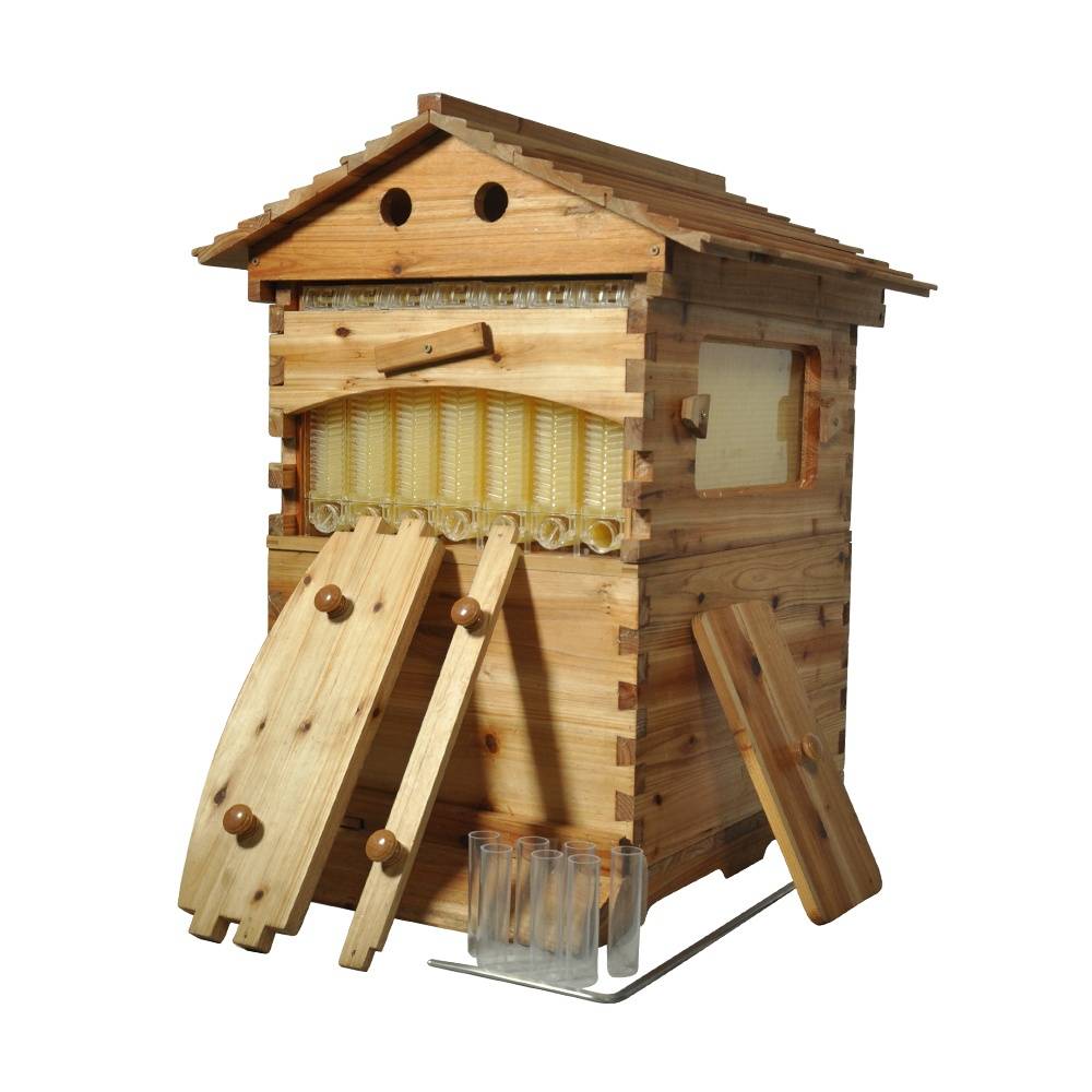 honey flow beehives