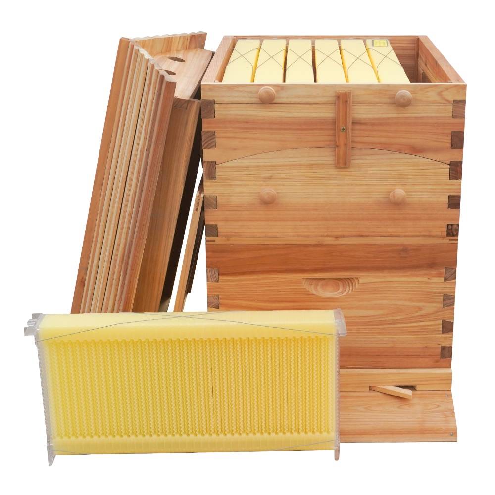 honey flow beehives