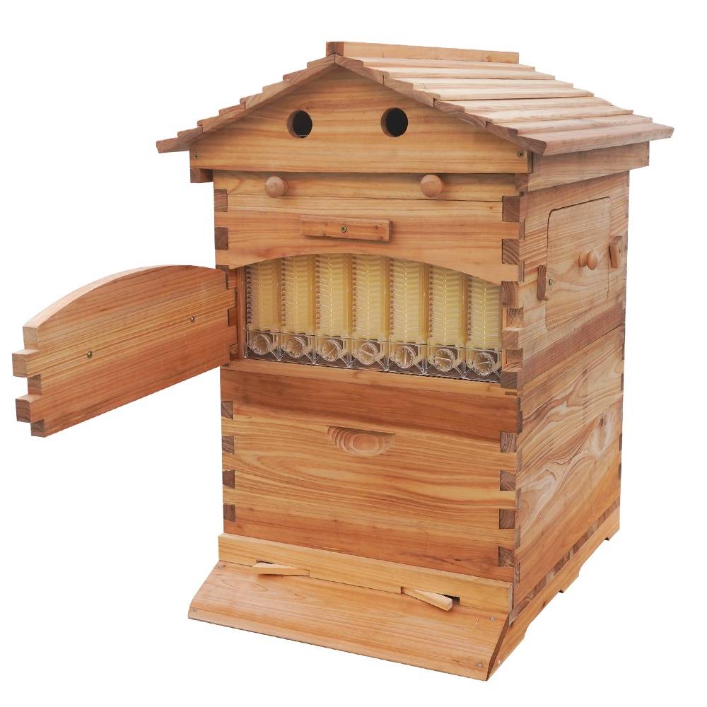 honey flow beehives