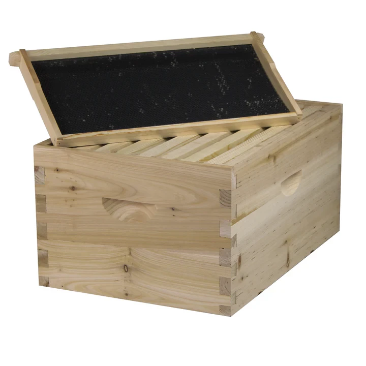 honey bee box
